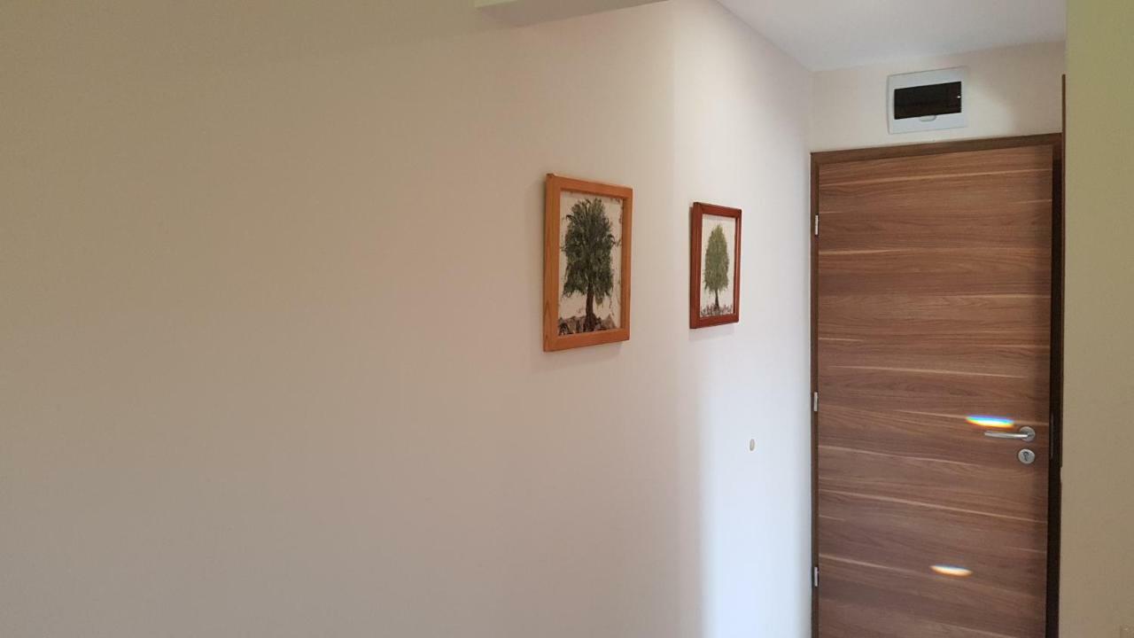 Tuenderlak Vendeghaz Apartment บาลาตอนฟือเรด ภายนอก รูปภาพ